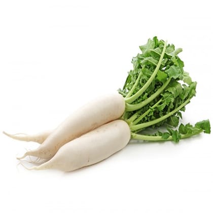 NSC Radish (Chavvi), 25 gm Open-pollinated (OP) Seed Pouch