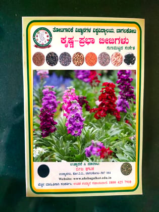 NSC STOCK FLOWER MIXED COLOUR SEEDS-10 gms