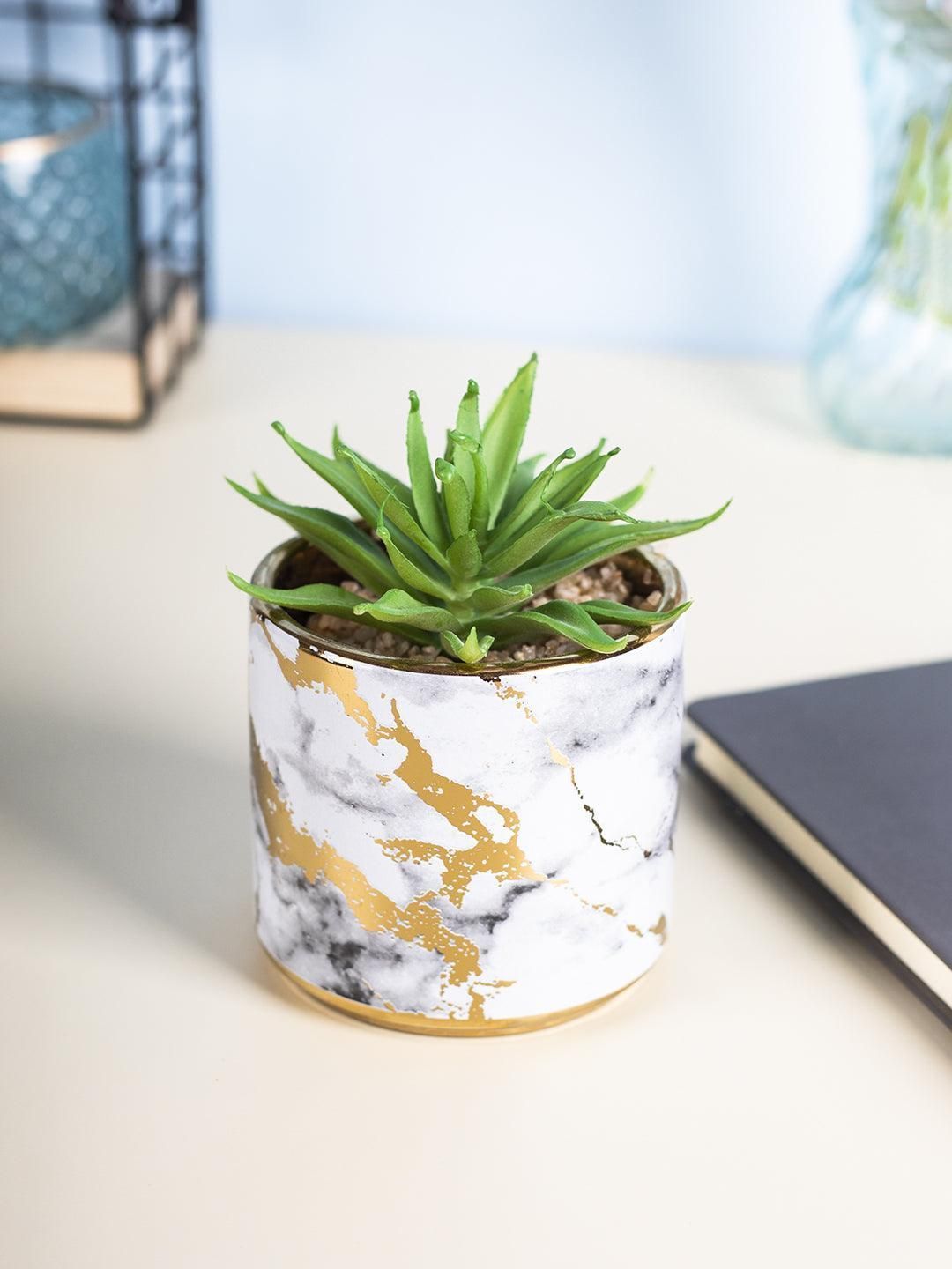 Market99 Fake Aloevera Desktop Planter