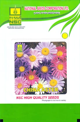 NSC China Aster Seeds - High Quality Flower Seeds