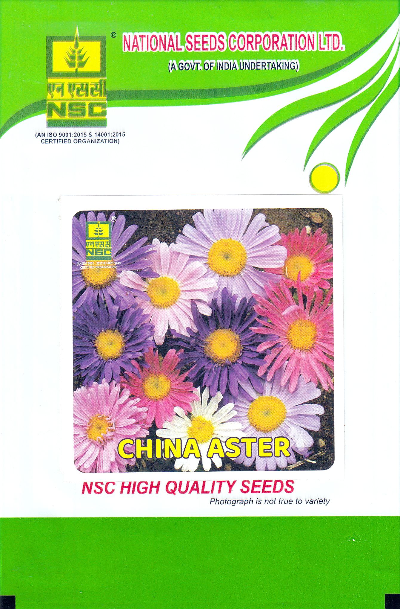 NSC China Aster Seeds - High Quality Flower Seeds