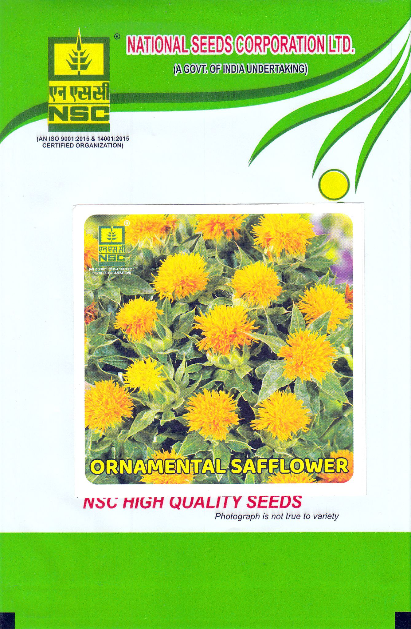 NSC Ornamental Safflower Seeds - High Quality Seeds