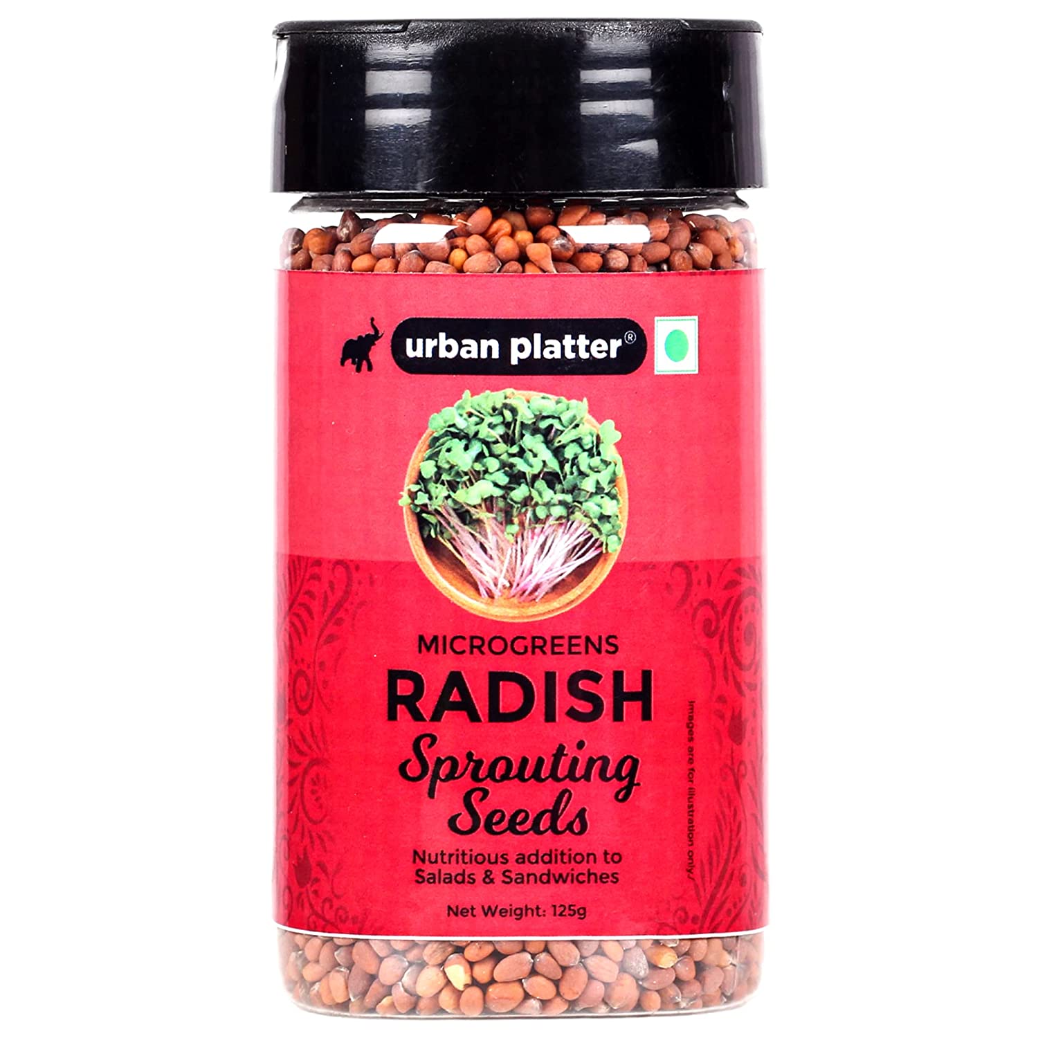 Urban Platter Microgreens Radish Sprouting Seeds Shaker Jar, 125g / 4.4oz [Nutritious Addition to Salads & Sandwiches]