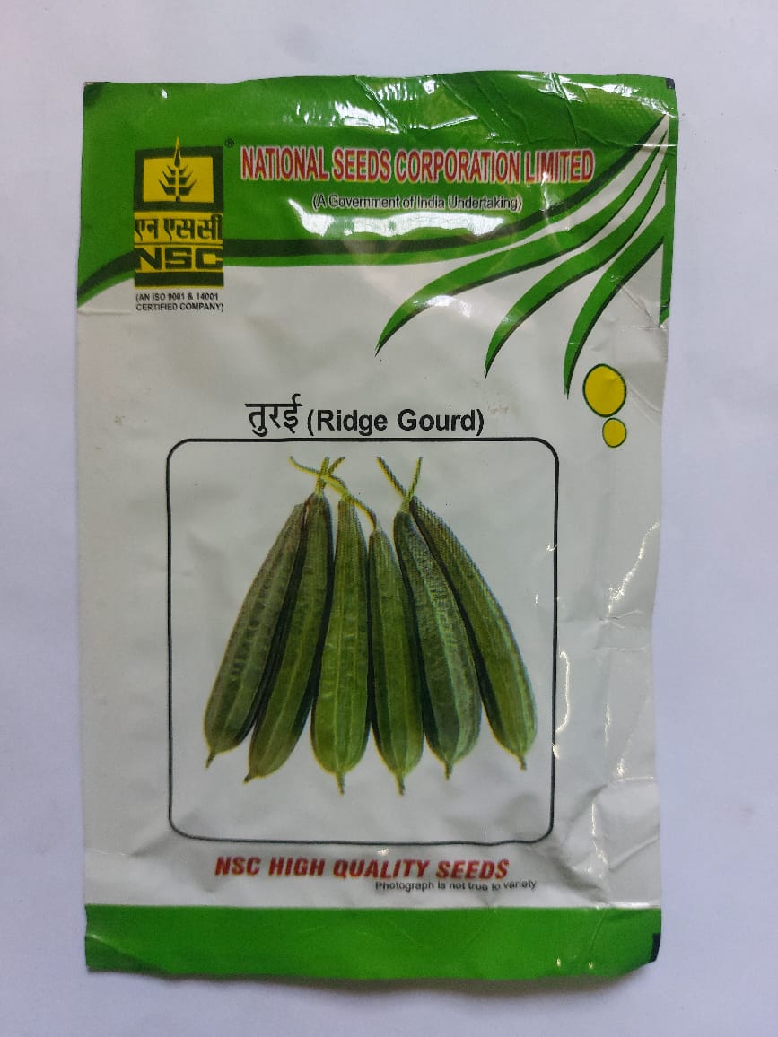 Ridge Gourd