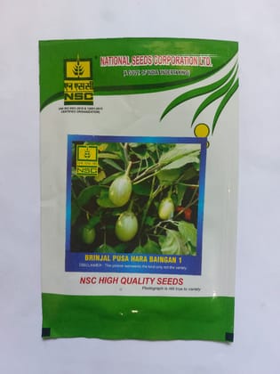  Brinjal Pusa Hara Baingan 1 - High Quality Seeds