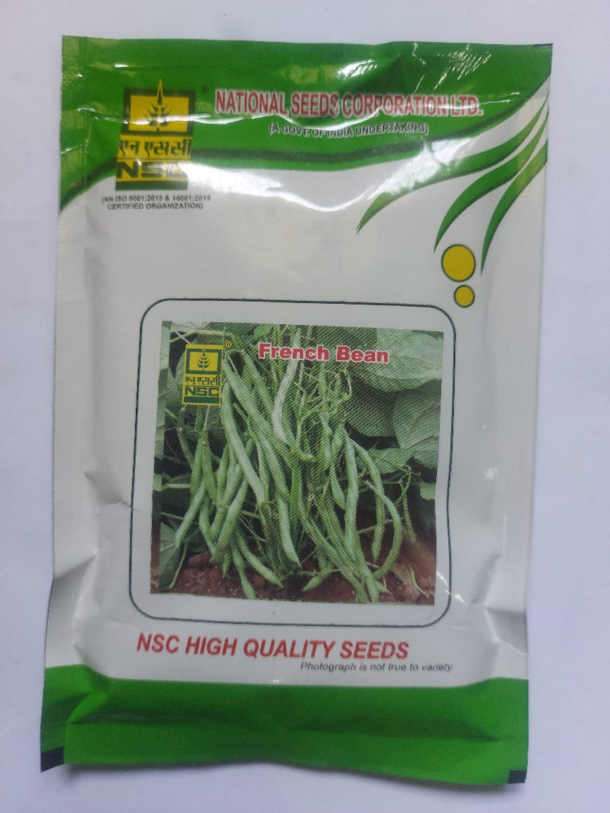  French Bean Seeds - NSC High Quality