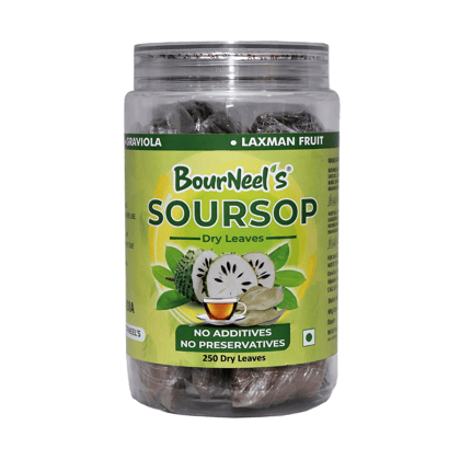 BourNeel's® Soursop Dry Leaves, 250 Loose Leaves |No Preservatives | Healthy Graviola Laxman Phal Dry Leaves | High Vitamin C |Soursop Kadha Tea |