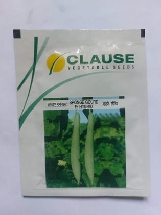  White Seeded Sponge Gourd Seeds - F1 Hybrid