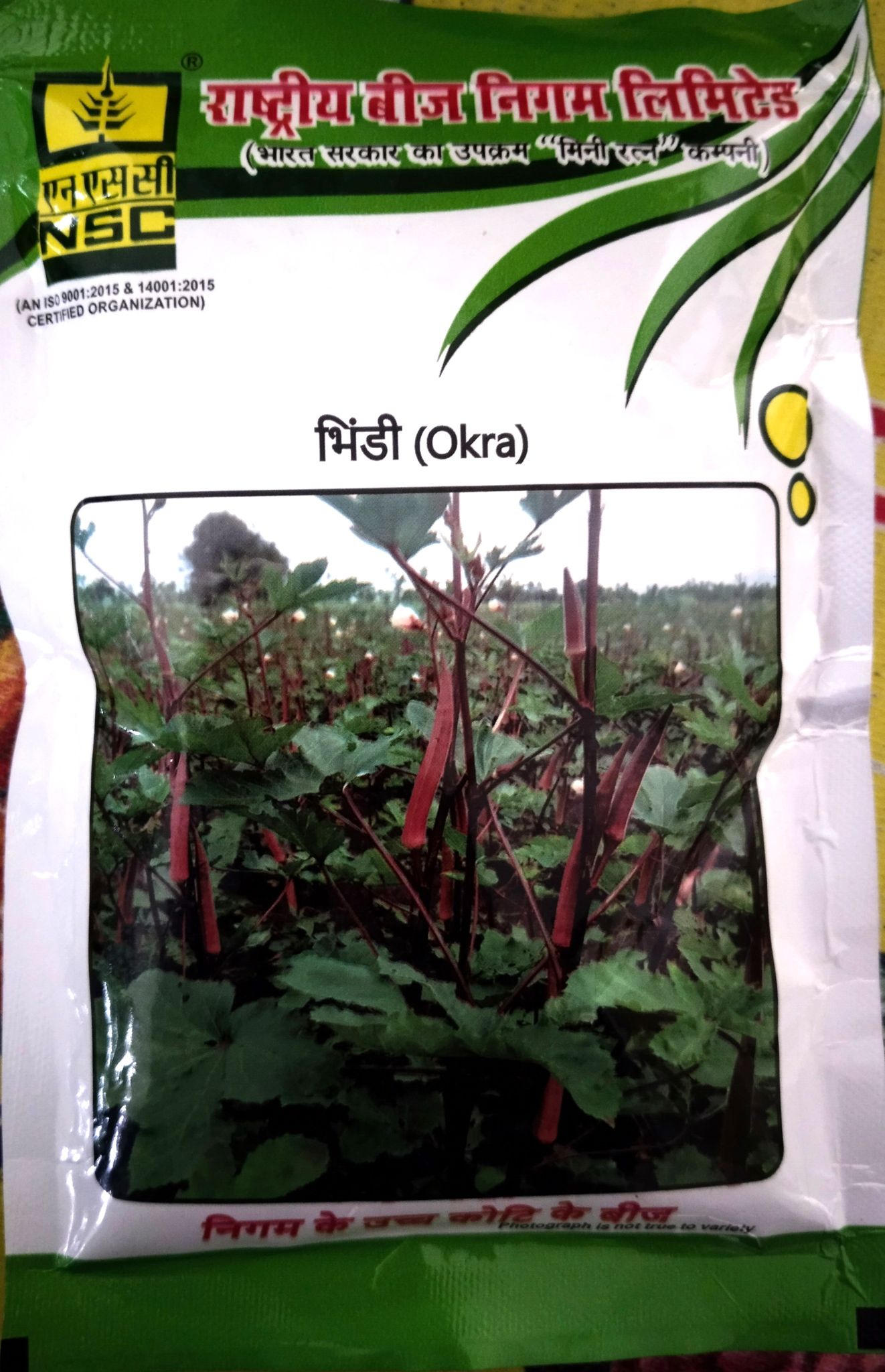 NSC Lal Bhindi Kashi Lalima variety, 100 gram T/L seed