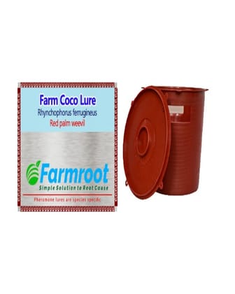 FARMROOT RPW LURE WITH RED BUCKET TRAP (PACK OF 2)