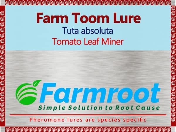 FARMROOT Tuta absoluta Pheromone Lure (10)