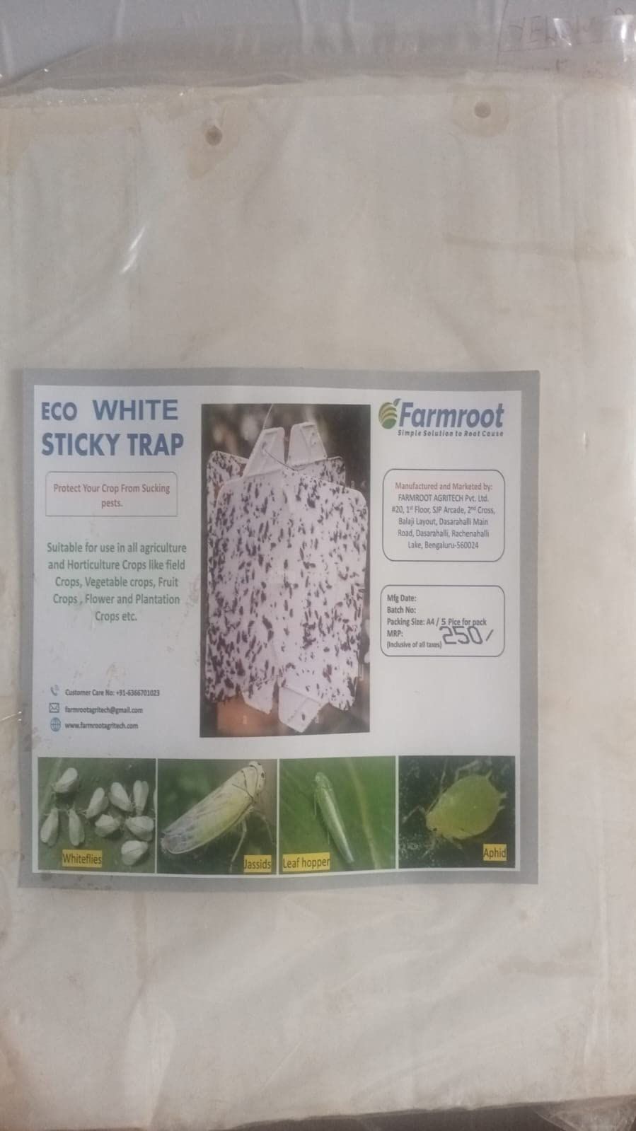 ECO White Sticky Traps for Thrips, Whiteflies, Jassids, Aphids, Leaf Miners, and Other Flying Insects -50 units