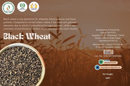 Black Wheat