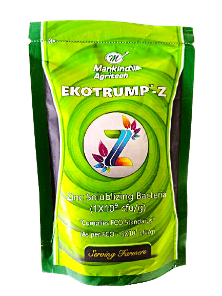  EKOTRUMP-Z Zinc Solubilizing Bacteria