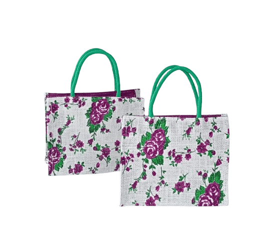 Design printed Return Gift Bag-Pack of 2