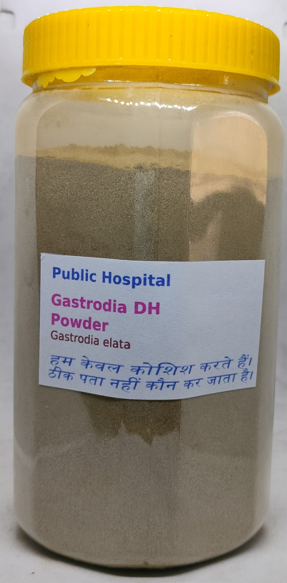 Gastrodia VH Herbal Supplement Powder