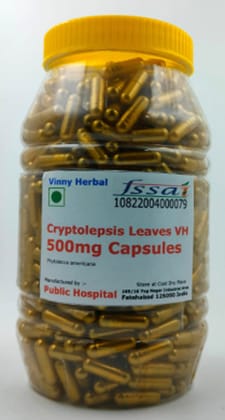 Cryptolepsis Leaves VH Herbal Supplement 500mg Capsules