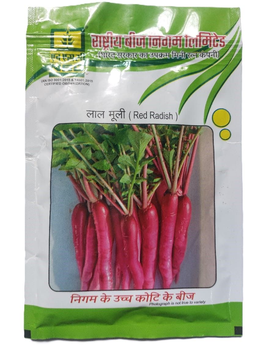 Lal Mooli (Red Radish) Seeds - 100% Pure and Natural