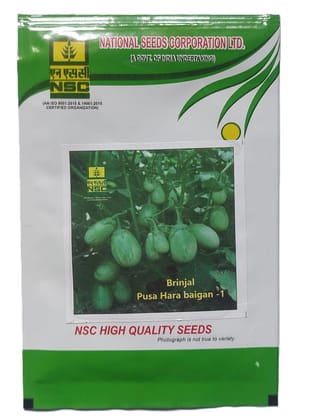  Brinjal Pusa Hara Baigan-1 (Pack of 100 Seeds)