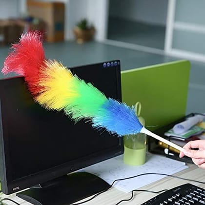 Mode Koorts� Jala Broom andMicrofiber Feather Static Duster for Dust Cleaning (Duster), Multicolour