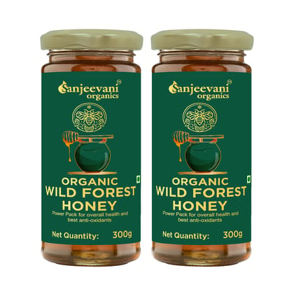 Sanjeevani Organics Organic Wild Forest Honey Pack of 2, 600g – Unprocessed, Unpasteurized, Natural Honey in Glass Jars