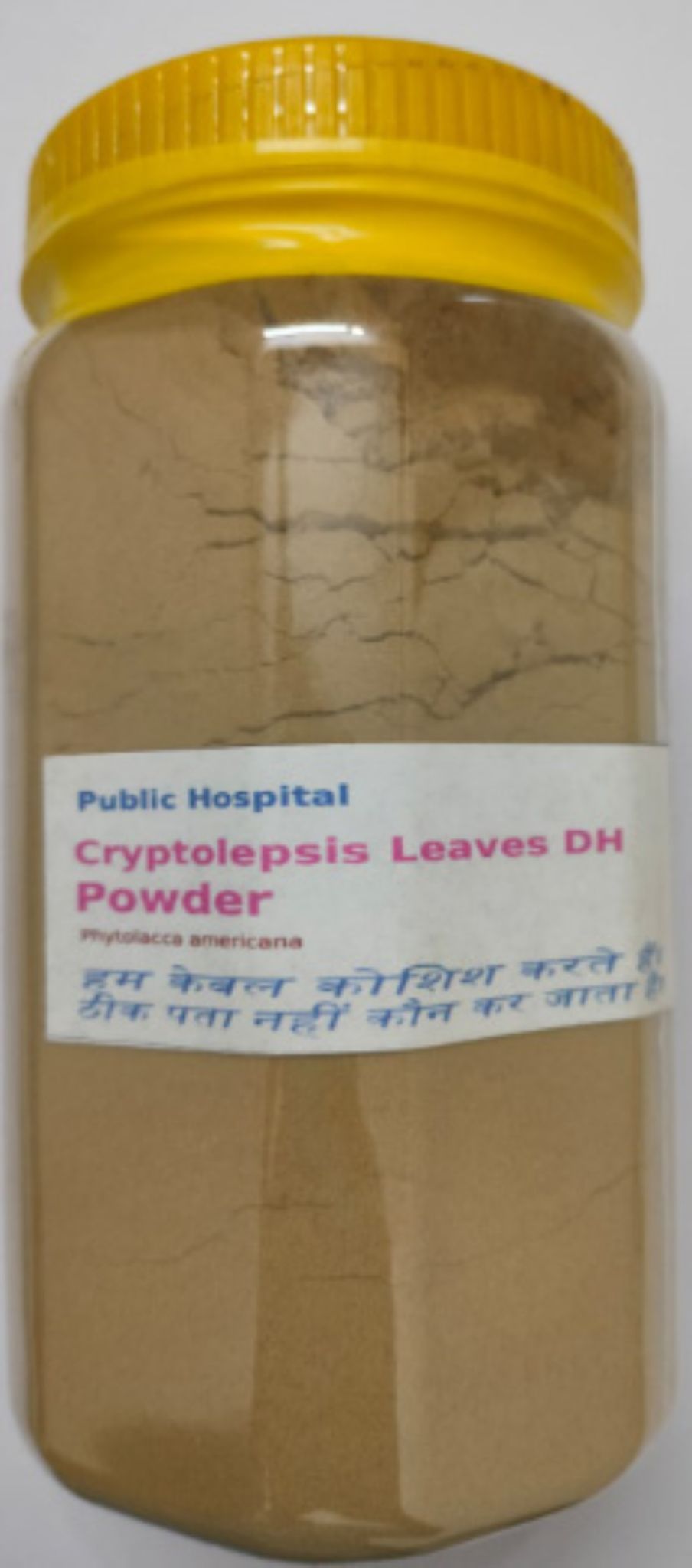 Cryptolepsis Leaves VH Herbal Supplement Powder