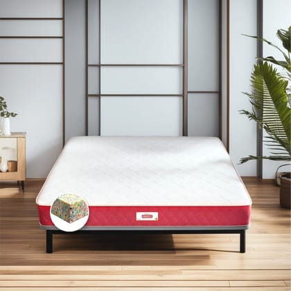 COIRFIT BONE ZONE with REBOTECH Tech. 4 inch Queen Bonded Foam Mattress