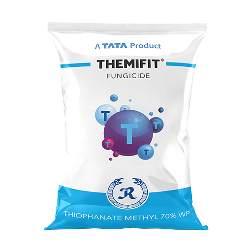 Themifit fungicide