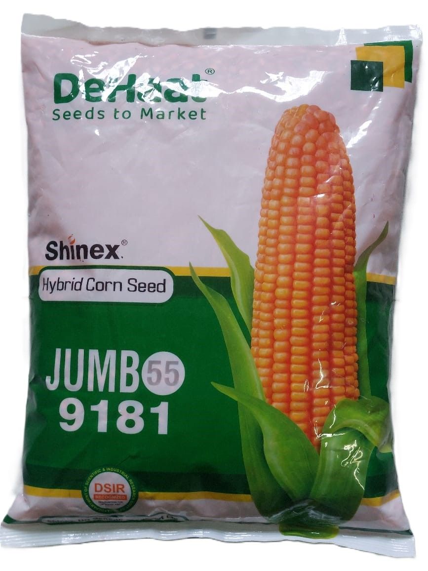 DeHaat Shinex® Hybrid Corn Seed JUMBO 9181