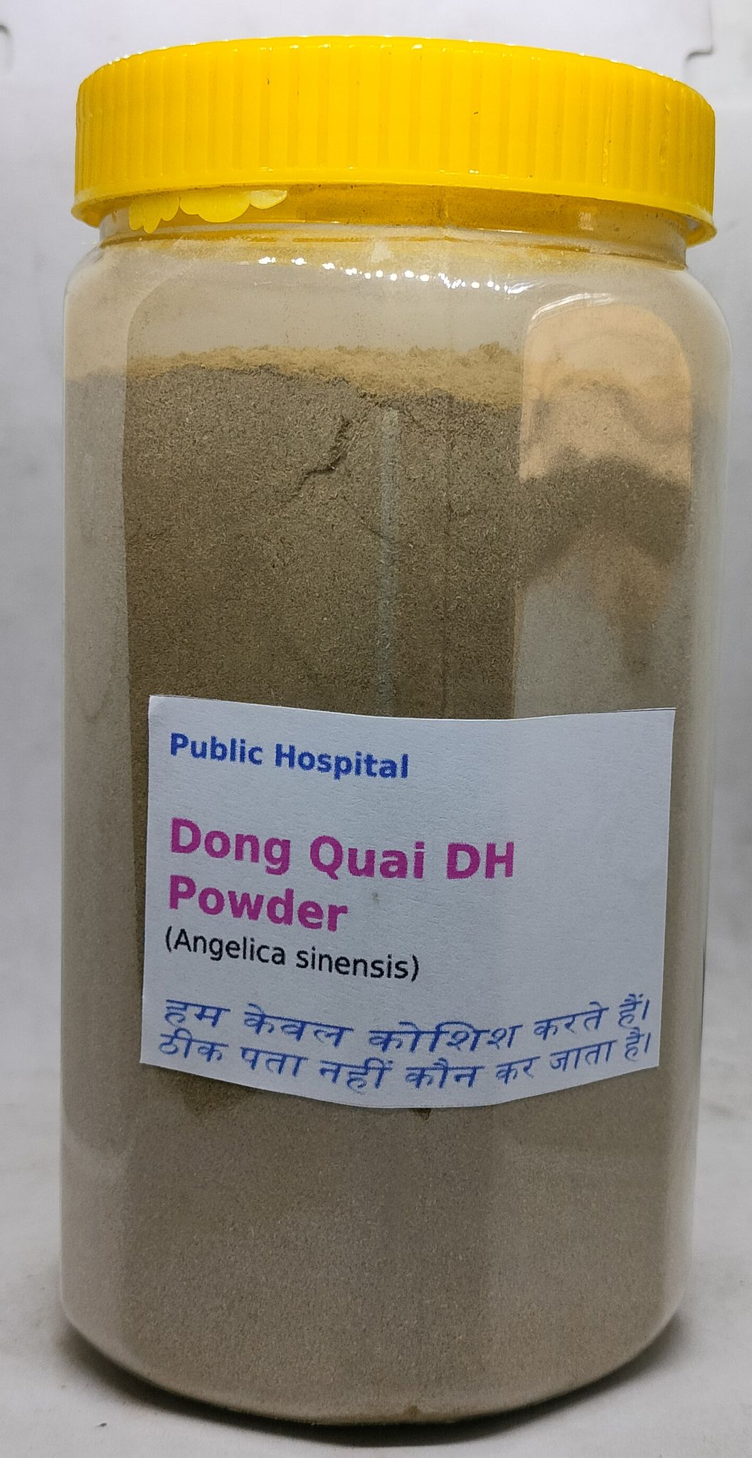 Dong Quai VH Herbal Supplement Powder