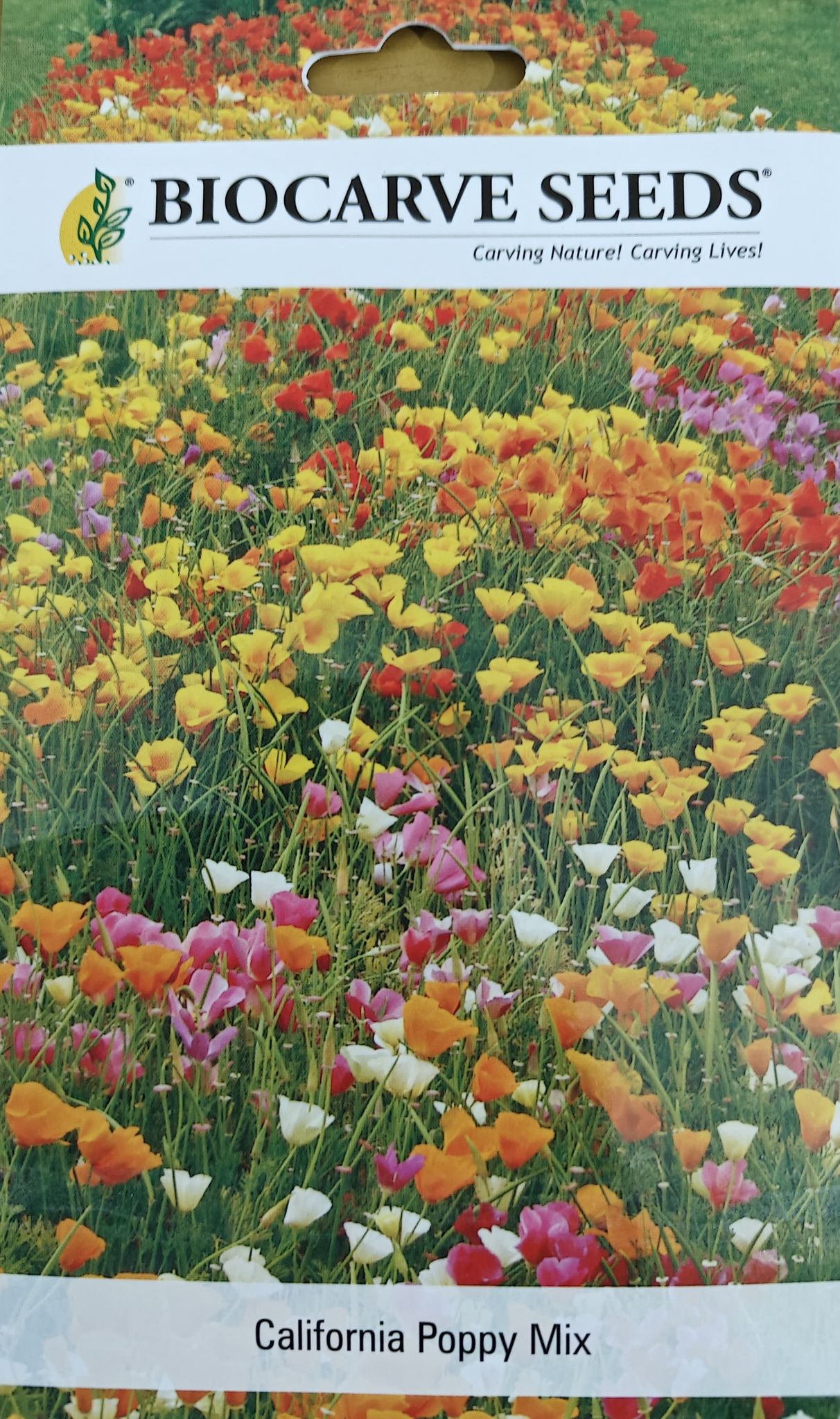 Eschscholtzia California Poppy Mix Flower Seeds