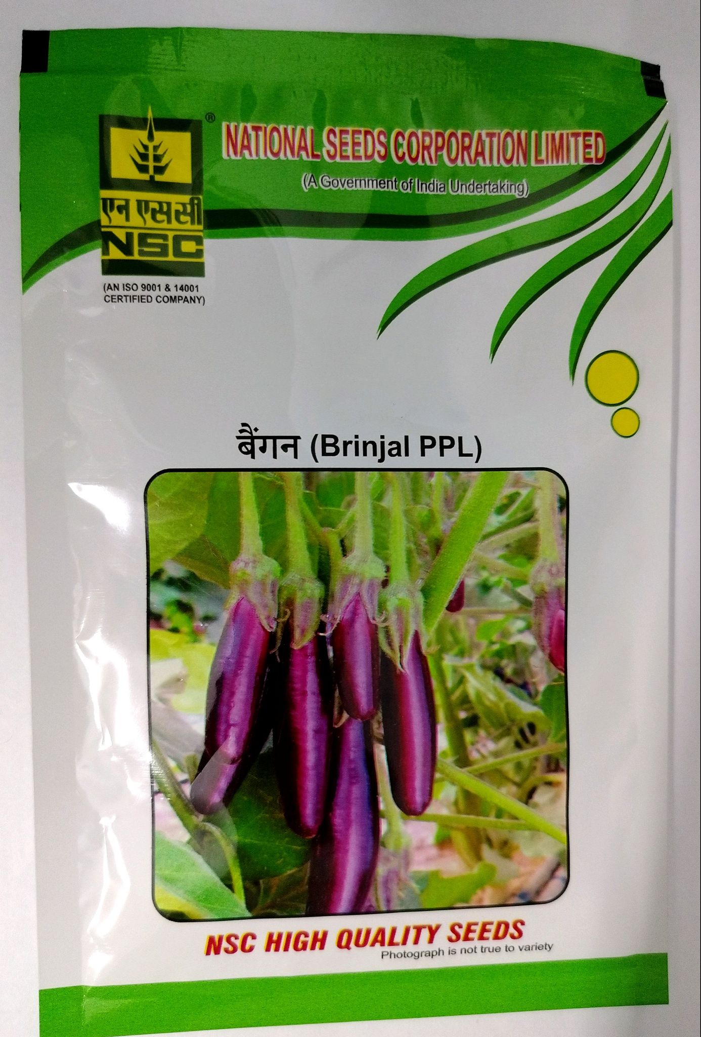 NSC Brinjal Variety: PPL, 25gm