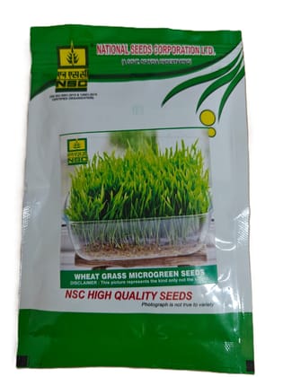 NSC Wheat Grass Microgreen -50 gram packet