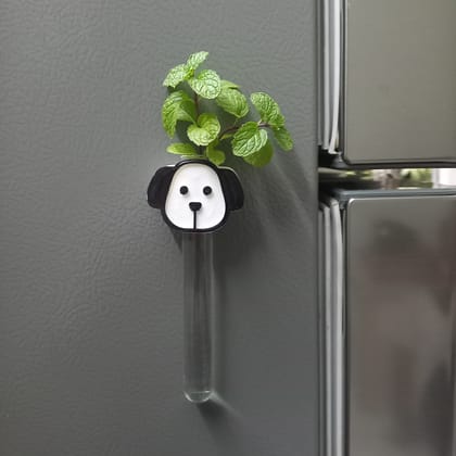 Magnetic Test Tube Planter for Fridge, Magnetic Surface