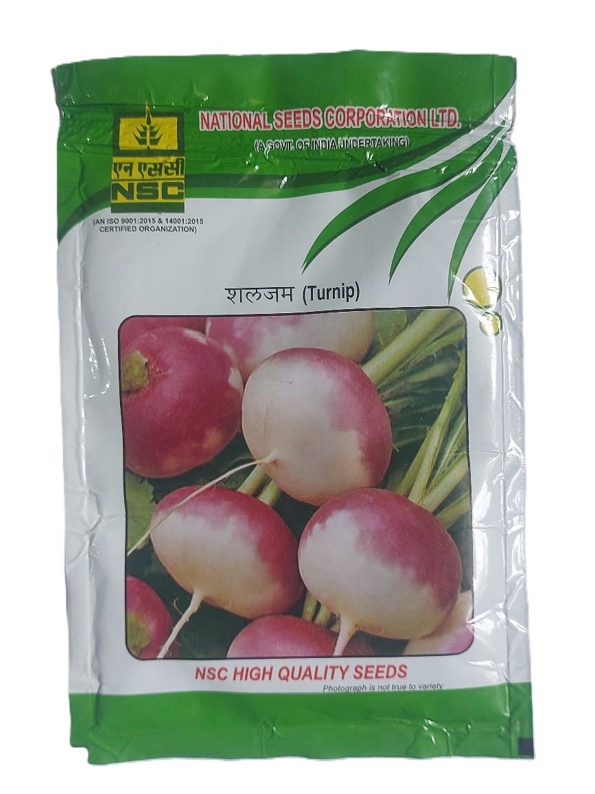  NSC High Quality Turnip Seeds