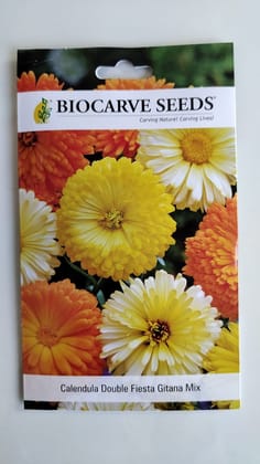 Biocarve Calendula officinalis- Pack of 100 Seeds