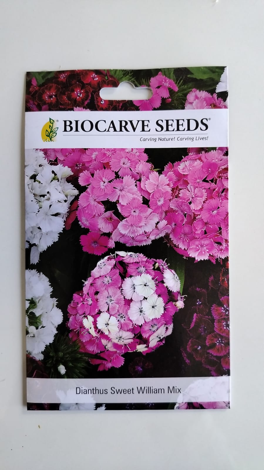 Biocarve  Dianthus Sweet Williams Mix  - Pack of 100 Seeds