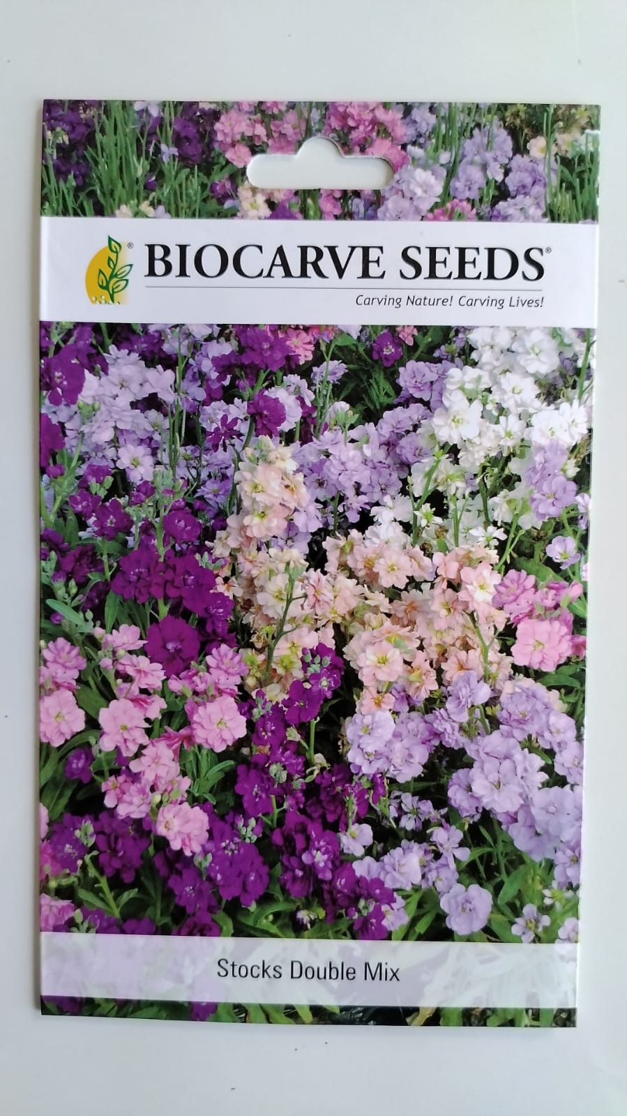 Biocarve Stocks (Matthiola incana)- Pack of 50 Seeds