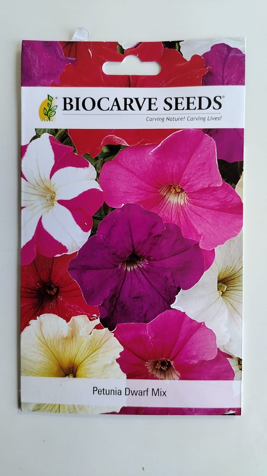 Biocarve Seeds Petunia N C Dwarf Mix- Pack of 200 Seeds