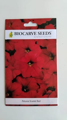 Biocarve Petunia Nana compacta Red- Pack of 200 Seeds