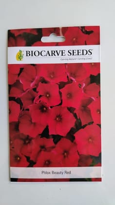 Phlox Beauty Red - Pack of 200 Seeds