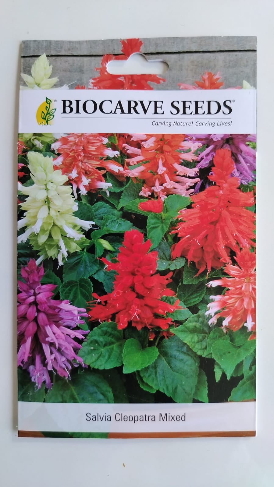 Biocarve Salvia splendens F1Cleopatra Mixed - Pack of 50 Seeds