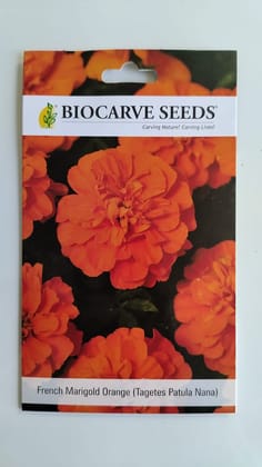 Biocarve Tagetes Nana Petula Orange - Pack of 100 Seeds