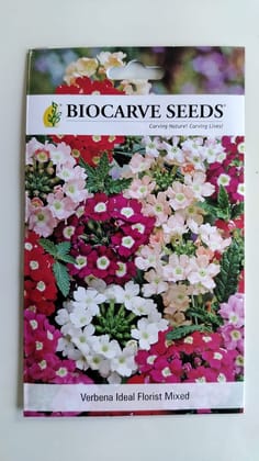 Biocarve Verbena hybrida Ideal florist mix - Pack of 100 Seeds