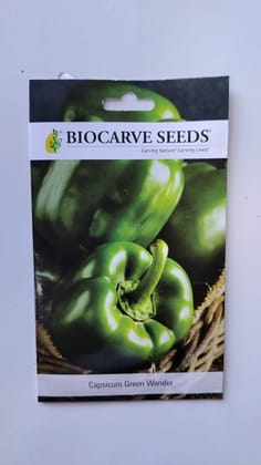 Biocarve Seeds Capsicum Green - Pack of 50 Seeds