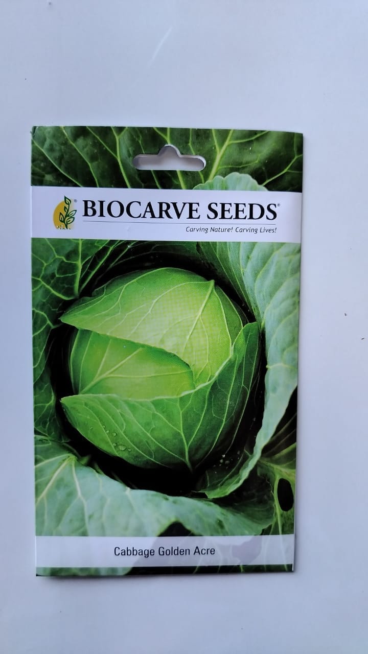 Biocarve Cabbage Golden Acre- Pack of 100 Seeds