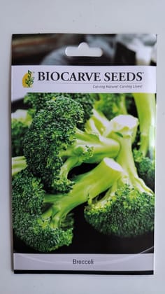 Biocarve Seeds Broccoli - Pack of 100 Seeds