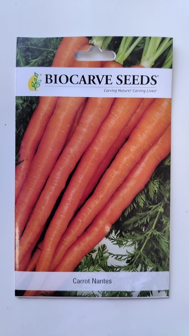 Biocarve Seeds Carrot Nantes - Pack Of 50 Seeds