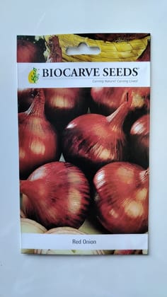 Biocarve Seeds Red Onion - Pack of 100 Seeds