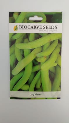 Biocarve Long Melon - Pack of 50 seeds